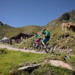 Zwei Radfahrer fahren mit Mountainbikes auf einem Feldweg neben grasenden Kühen und einer rustikalen Holzhütte in einer hügeligen, grasbewachsenen Landschaft unter einem klaren blauen Himmel.